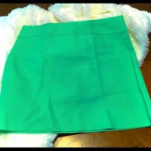 J. Crew skirt 4